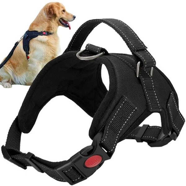 Dog Harness – Adjustable Chest and Shoulder Strap, Sizes S, M, L